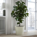 KÖRSBÄRSBJÖRK Plant pot, light grey/beige, 32 cm