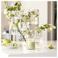LÖVSKOGSLUND Scented candle in glass, Apple/light green, 40 hr