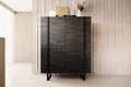 Two-Door Cabinet Verica 120 cm, charcoal/black legs