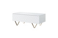 Coffee Table with Storage Scalia 120, matt white/gold legs