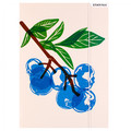 Document File Folder with Elastic Band A4 1pc Fruit, assorted patterns