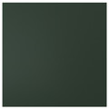HAVSTORP Door, deep green, 60x60 cm