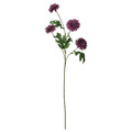 SMYCKA Artificial flower, in/outdoor Chrysanthemums/lilac, 71 cm