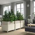 MITTZON Acoustic plant box with castors, Gunnared beige, 70x70x75 cm
