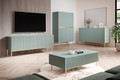 High Cabinet Sideboard Nicole, sage, gold legs