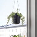 PÄRLRÖNN Hanging planter, in/outdoor/black, 15 cm