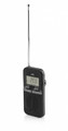 JVC Portable Radio RAE411B