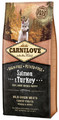 Carnilove Dog Food Salmon & Turkey Large Puppy 12kg