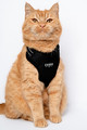 CHABA Dog Harness Guard Comfort Classic S, black