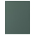 ASPUDDEN Door, dark grey-green, 60x80 cm
