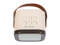 Blow Bluetooth Speaker Karaoke RGB