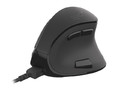 Natec Euphonie Optical Wireless Mouse, black