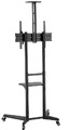 NewStar Floor Stand 37-70" 50kg FL50-550BL1