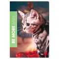 Notebook A4 72 Pages Squared Be More Baby 10pcs, assorted