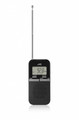 JVC Portable Radio RAE411B