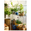 ASPAREN Greenhouse, transparent white, 123x190x190 cm