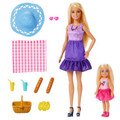 Barbie Family & Friends Dolls & Accessories JBF43 3+