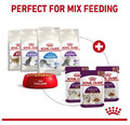 Royal Canin Sensory Smell Wet Food for Cats 85g