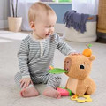 Fisher-Price Snuggly Snacky Capybara Plush Baby Sensory Toy HYR54 6m+
