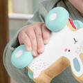 Fisher-Price Wooden Push-Along Bunny Toy Vehicle JDM52 6m+