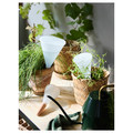 SVÄMSKOG Self-watering insert, terracotta/transparent, 70 cl