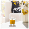 SVARTOXBÄR Scented candle in glass, Mimosa/yellow, 25 hr