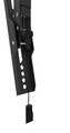 NewStar TV Wall Mount 32-65" 60kg WL35-550BL14