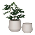 Set of 2 Plant Pots, cashmere