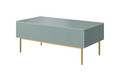 Coffee Table with 2 Drawers Nicole, sage/gold legs