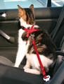 Trixie Car Harness for Cats