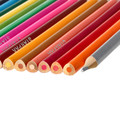 Starpak Triangular Colour Pencils Safari 18+1