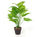 Decorative Artificial Alocasia Plant 55cm