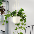 ÄPPELROS Hanging planter, in/outdoor off-white, 12 cm