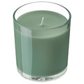LOTSFÅGEL Scented candle in glass, Fig leaf green, 40 hr