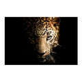 Picture Glasspik Leopard 70x100cm