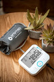 Oromed Blood Pressure Monitor ORO-N6BASIC