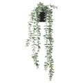FEJKA Artificial potted plant, in/outdoor hanging, eucalyptus, 9 cm