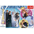 Trefl Children's Glitter Puzzle Frozen II 100pcs 5+