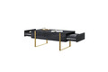 Coffee Table with 2 Drawers Verica, charcoal/gold legs