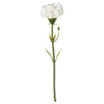 SMYCKA Artificial flower, Carnation, white, 30 cm