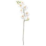 SMYCKA Artificial flower, Orchid, white, 60 cm