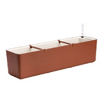 Plant Pot In/outdoor Berberis 80cm, terracotta