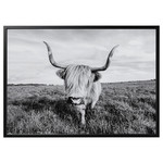 BJÖRKSTA Picture with frame, curious cow/black, 140x100 cm