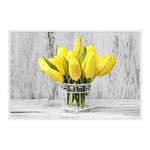 Picture Yellow Tulips 60x90cm