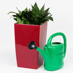 Prosperplast Watering Can Spring, green, 3l