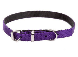 Dingo Dog Collar Energy 1.2cm/40cm, purple