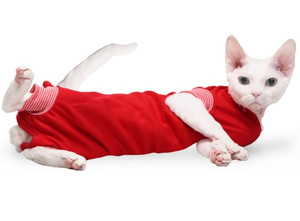 Grande Finale Pet Cat Recovery Suit Post-Surgical 25cm, red