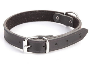 Dingo Leather Dog Collar 2.0 x 50cm, black