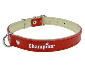 Champion Leather Collar SK/S 50/1.8, 1pc, red