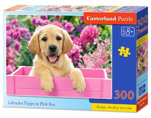 Castorland Jigsaw Puzzle Labrador Puppy in Pink Box 300pcs 8+